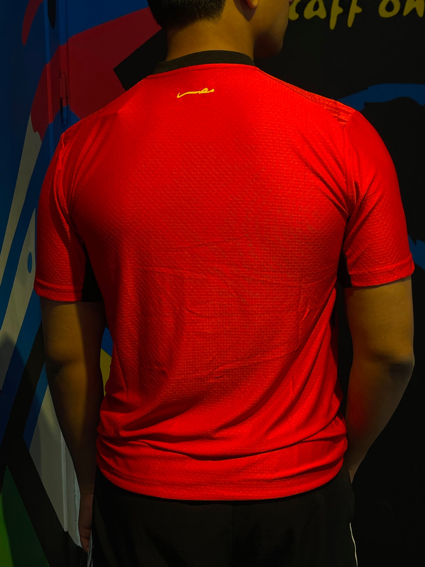 fifa cup egypt t-shirt